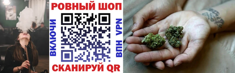 Какие есть наркотики Ртищево ссылка на мегу зеркало  ГАШ  Галлюциногенные грибы  Канабис  APVP 
