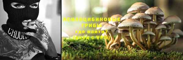 амф Протвино