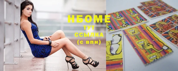 стафф Покачи