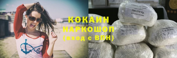 стафф Покачи